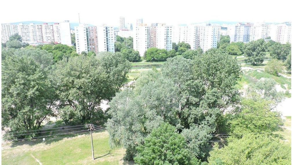 Prenájom garsónky v Petržalke na Osuského ul.