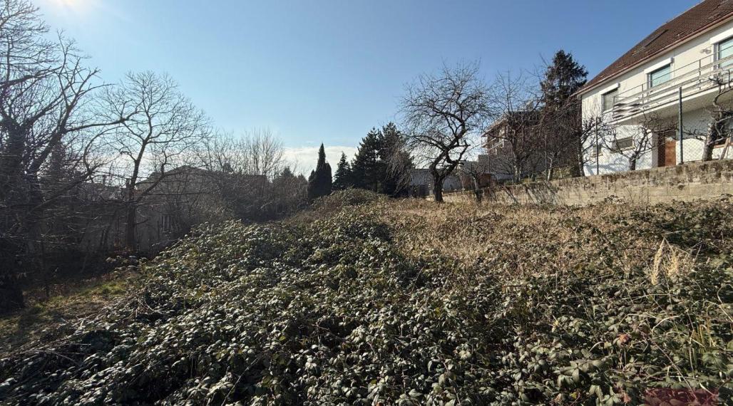 Predaj - krásny pozemok na Kolibe, 18x39 m